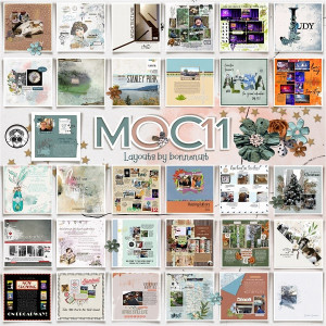 MOC 11 Completed Challenge Collage