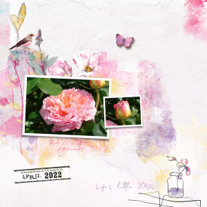 Roses