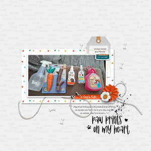 January 27: My Life in a Still Life Photo