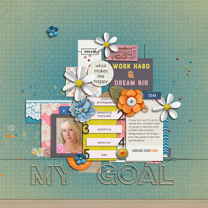 Day 31 - Coming Home - My Goal