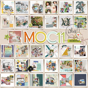 MOC 11 COLLAGES