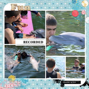 Dolphin Trip 2