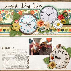 MOC11-17_DocumentYourDay_LongestDay