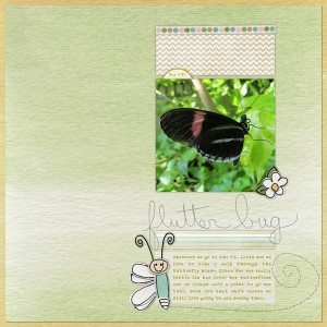 Flutter Bug