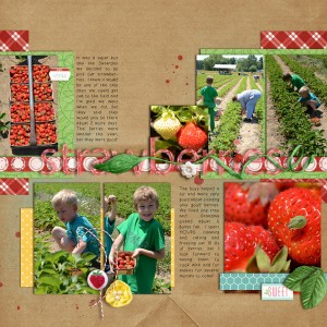 Picking Strawberries