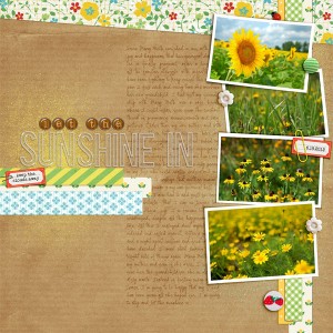 Let the Sunshine In