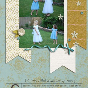 beautiful ordinary day