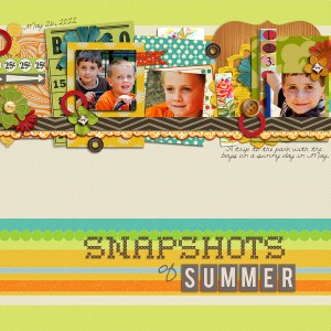 Snapshots of Summer