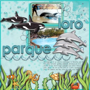 Loro Parque Orcas