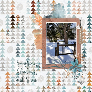 Sunshine Shadows And Snow
