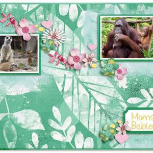 Moms-&-Babies