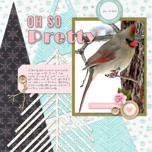 Scrapping-with-Liz_2022-02_February-MIS_web