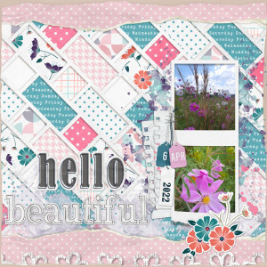 2022-04-06_Hello
