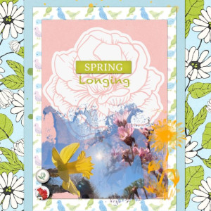 02speed-spring