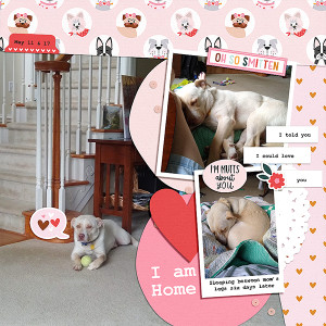 I am Home!