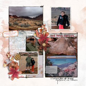 Rainy Red Rock 2013