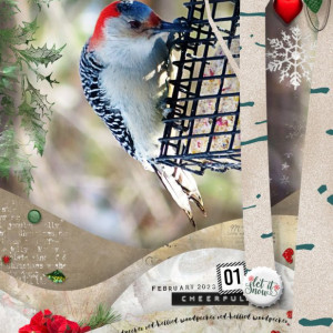 NBK-Design_2023-02_February_New_0210_Cutout-TP1_web