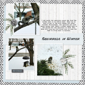 Squirrels In Winter