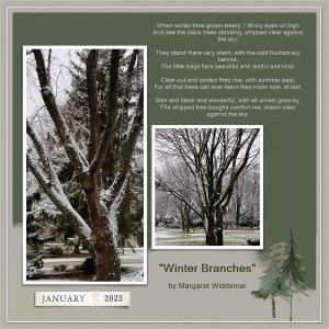 Winter Branches