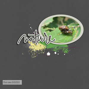 LOD_One-LIttle-Bird_Nature
