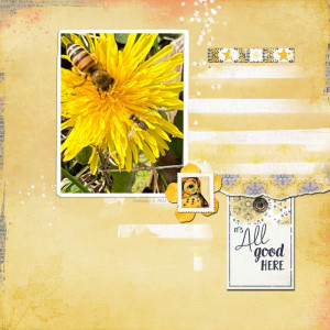 LynnG-Feb-Featured-Prod-Web