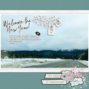 WELCOME THE NEW YEAR