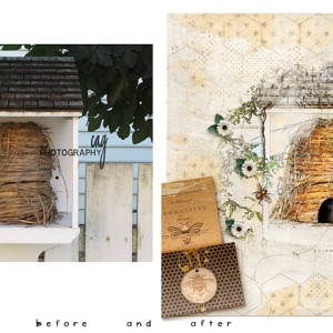 Hive actual photo to layout