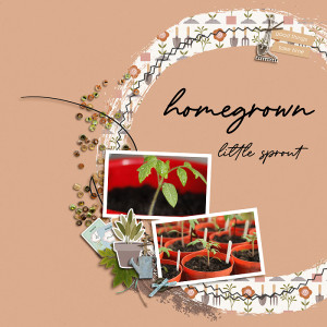 23-03_happy garden