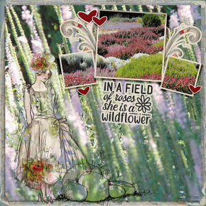 Fdd_inafield