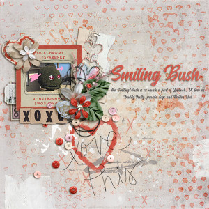 Smiling-Bush