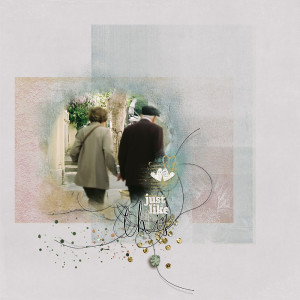 23-02_TLP_muse1