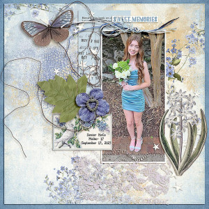 Sweet Memories FF 02/17