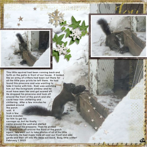 LITTLE SQUIRREL