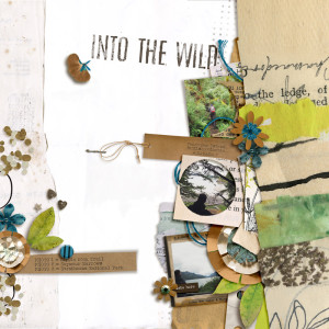 Into The Wild
