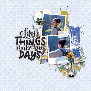 Little Things Big Days