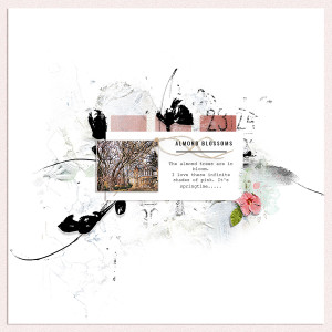 almond blossoms