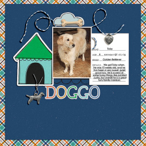 Doggo for SOSN 02/22