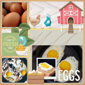 Eggs