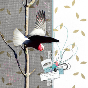 FREE AS A BIRD