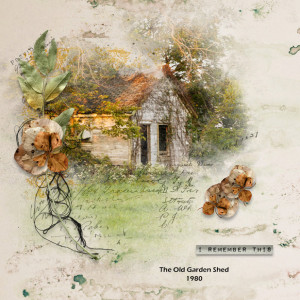 Garden Shed
