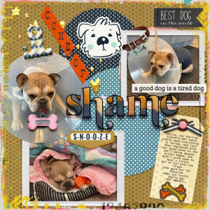 Cone-of-Shame