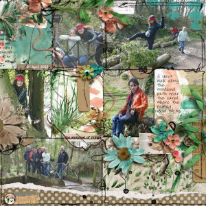 Woodland Path Walk