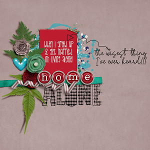 Home alone