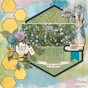 Week4_hexagons
