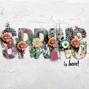 Spring (NBK 3/3 Slow Scrap Chat)