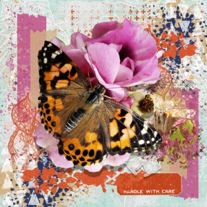 Butterflies And Medics