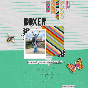 Boxer