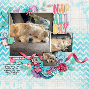 Nap All Day