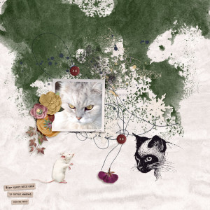 Cats