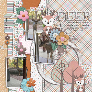 deer